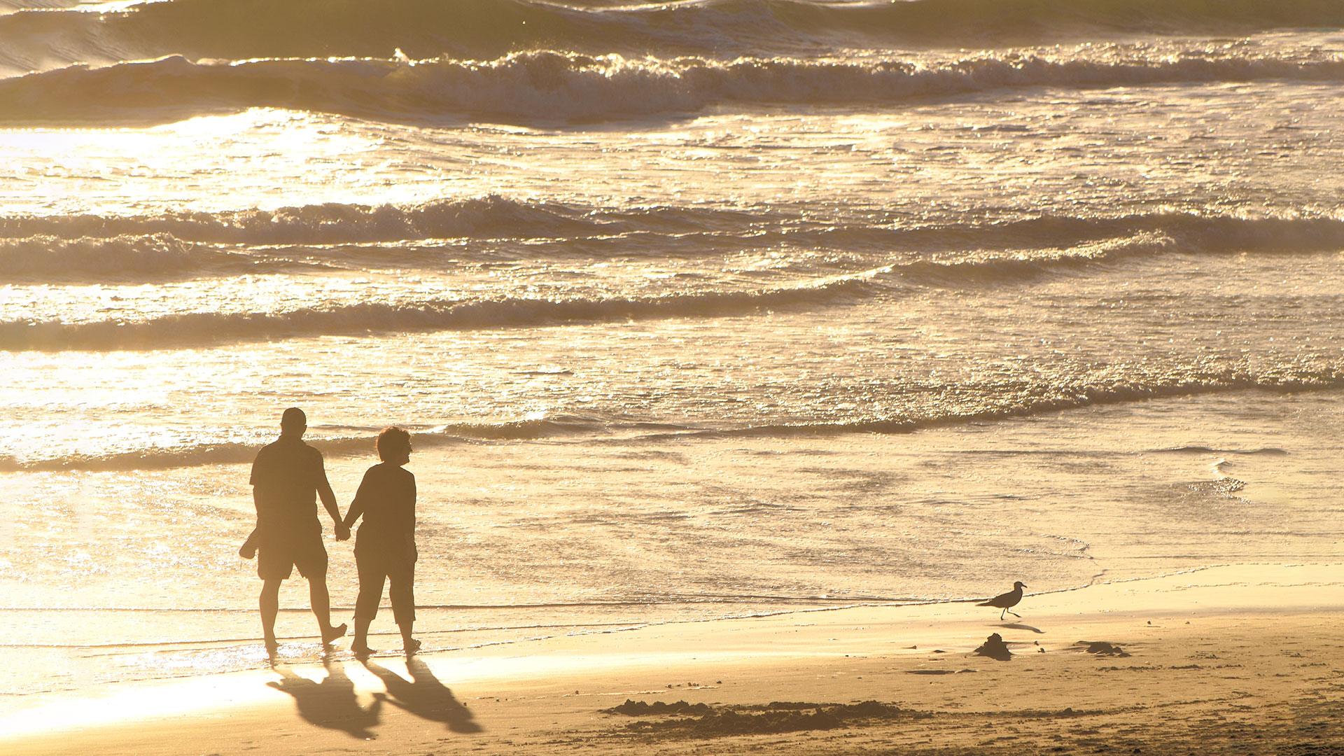 The Gold Standard for RV Travel