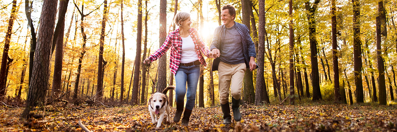 5 States For Fall Hiking