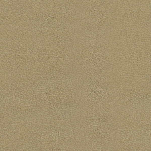 Sand Creek - Furniture